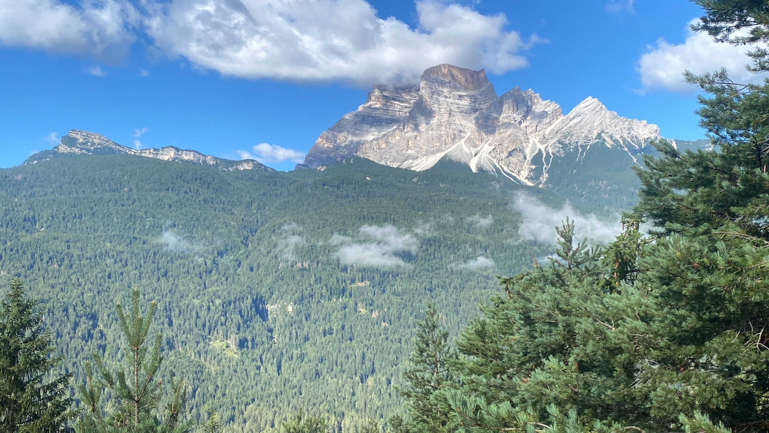 2BBD7C32-830E-4E4D-BAF5-1B7CBD574F74